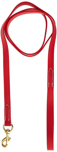 J&J Dog Supplies Biothane Dog Leash, 3/4