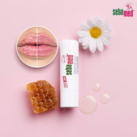 SebaMed Sun Lotion & SebaMed Lip Defense Lip Balm With Spf 30 + Vit E Combo