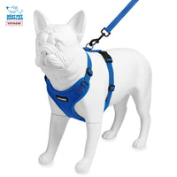Voyager Step-in Lock Dog Harness w Reflective Dog Leash Combo Set with Neoprene Handle 5ft - Supports Small, Medium and Large Breed Puppies/Cats by Best Pet Supplies - Royal Blue, XL Harness Leash Set (Royal Blue) XL (Chest: 23 - 28