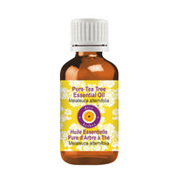 Deve Herbes Tea Tree Essential Oil (Melaleuca alternifolia) Pure | Non-Sticky | Non-greasy | Lightweight | Men & Women | All Skin Types | Steam Distilled 5ml