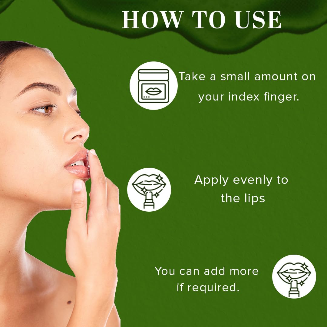 Khadi Natural Kiwi Fruit Lip Balm with Beeswax and Honey| Herbal Lip Balm for Soft Lips | Nourishing Lip Balm for Chapped Lips | Free From Harsh Chemicals | Unisex Formula |Pack of 3 | (5*3) (15 gm)