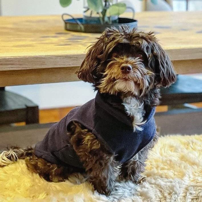 Gooby Fleece Vest Dog Sweater - Navy, Small - Warm Pullover Fleece Dog Jacket with O-Ring Leash - Winter Small Dog Sweater Coat - Cold Weather Dog Clothes for Small Dogs Boy or Girl Small (Around 6-lb)