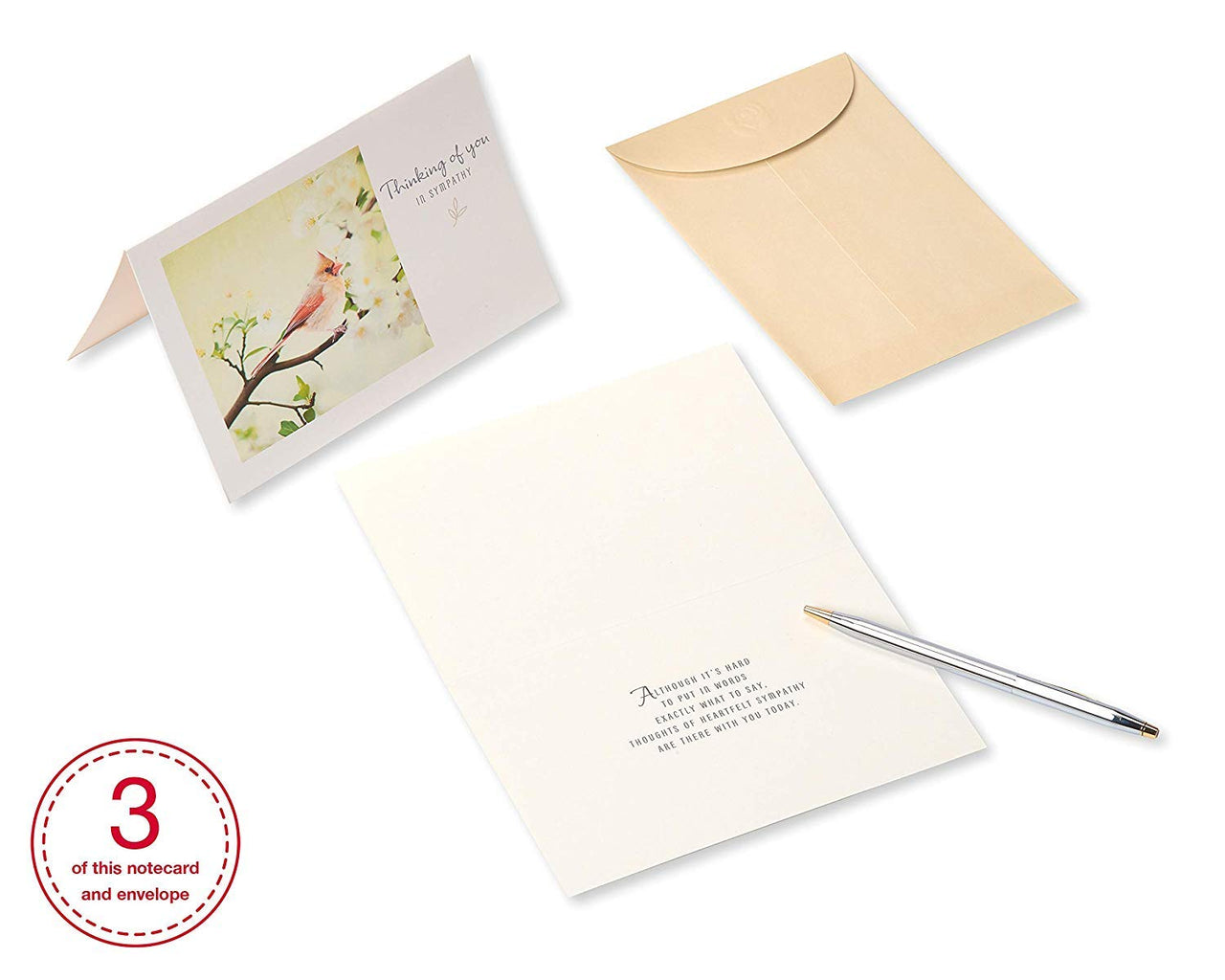 American Greetings Sympathy Cards Assortment with Envelopes, Floral (12-Count)