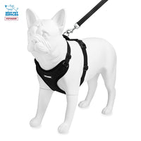 Voyager Step-in Lock Dog Harness w Reflective Dog Leash Combo Set with Neoprene Handle 5ft - Supports Small, Medium and Large Breed Puppies/Cats by Best Pet Supplies - Black, L Harness Leash Set (Black) L (Chest: 20 - 25