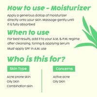 The Plant Fix Plix Jamun Cleanser & 2% Salicylic Acid Serum With Smoothie Moisturizer Combo l Detoxifies The Skin l Reduces Active Acne l Fades Blemishes l All Skin Types