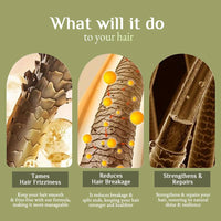 Richfeel Hair Root Nourisher/Tonic | For Hair Fall Control | Hair Growth Treatment | Trichologist Developed Formula | High Concentration | Oil & Silicone Free | 80 ML