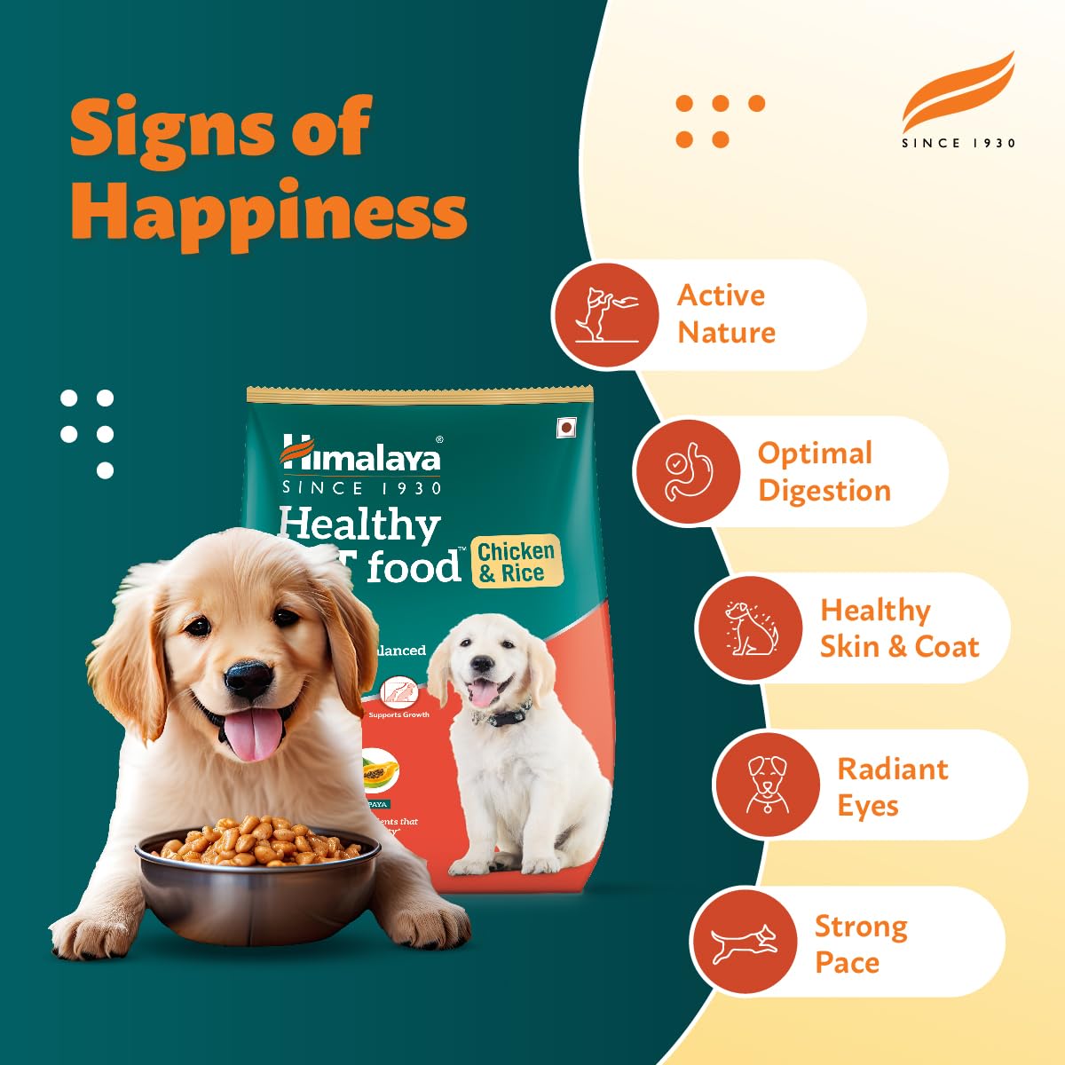 Himalaya Healthy Puppy Dry Dog Food | Chicken & Rice| Contains 20+ Nutrients, Vitamins, Minerals for Complete and Balanced Food | 1.2Kg