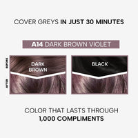 Berina Professional | Permanent Hair Color Cream | 60gm | A14 Dark Brown Violet | Long Lasting Color