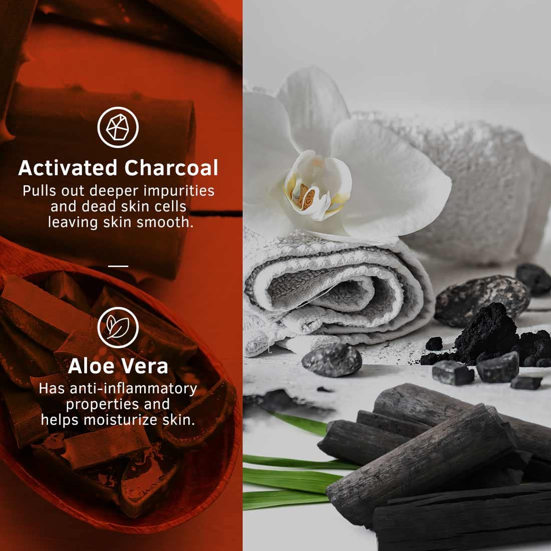 Ustraa Body Wash- Activated Charcoal 250 ml set of 2 - Deep Skin Detox with Activated Charcoal, Moisturization of Aloe Vera, Cleansing & Intense Foaming without Sulphates