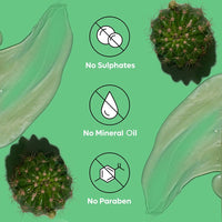 Naturali Shampoo For Dandruff | Tea Tree Oil For Hair | Sulphate Free | Dandruff Shampoo For Men | Paraben Free | 200 ml