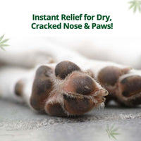 Hampa Hemp Balm for Pets 50g | Nourishing and Moisturizing Balm for Dogs & Cats | Soothes Dry, Cracked Skin, Paws, & Nose | Natural Ingredients with Hemp Seed Oil, Lavender Oil & Biotin