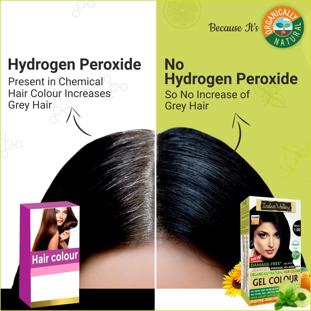 INDUS VALLEY Organically Natural Damage Free Gel Colour Black Herbal Hair Colour with Deep Nourishing Hair Eaze Spa 175ml For Hair Care (220g + 175ml)
