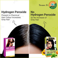 INDUS VALLEY Organically Natural Damage Free Gel Colour Black Herbal Hair Colour with Deep Nourishing Hair Eaze Spa 175ml For Hair Care (220g + 175ml)