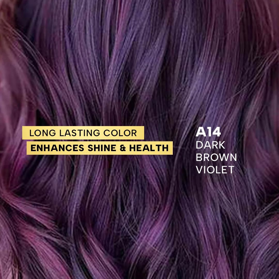 Berina Professional | Permanent Hair Color Cream | 60gm | A14 Dark Brown Violet | Long Lasting Color