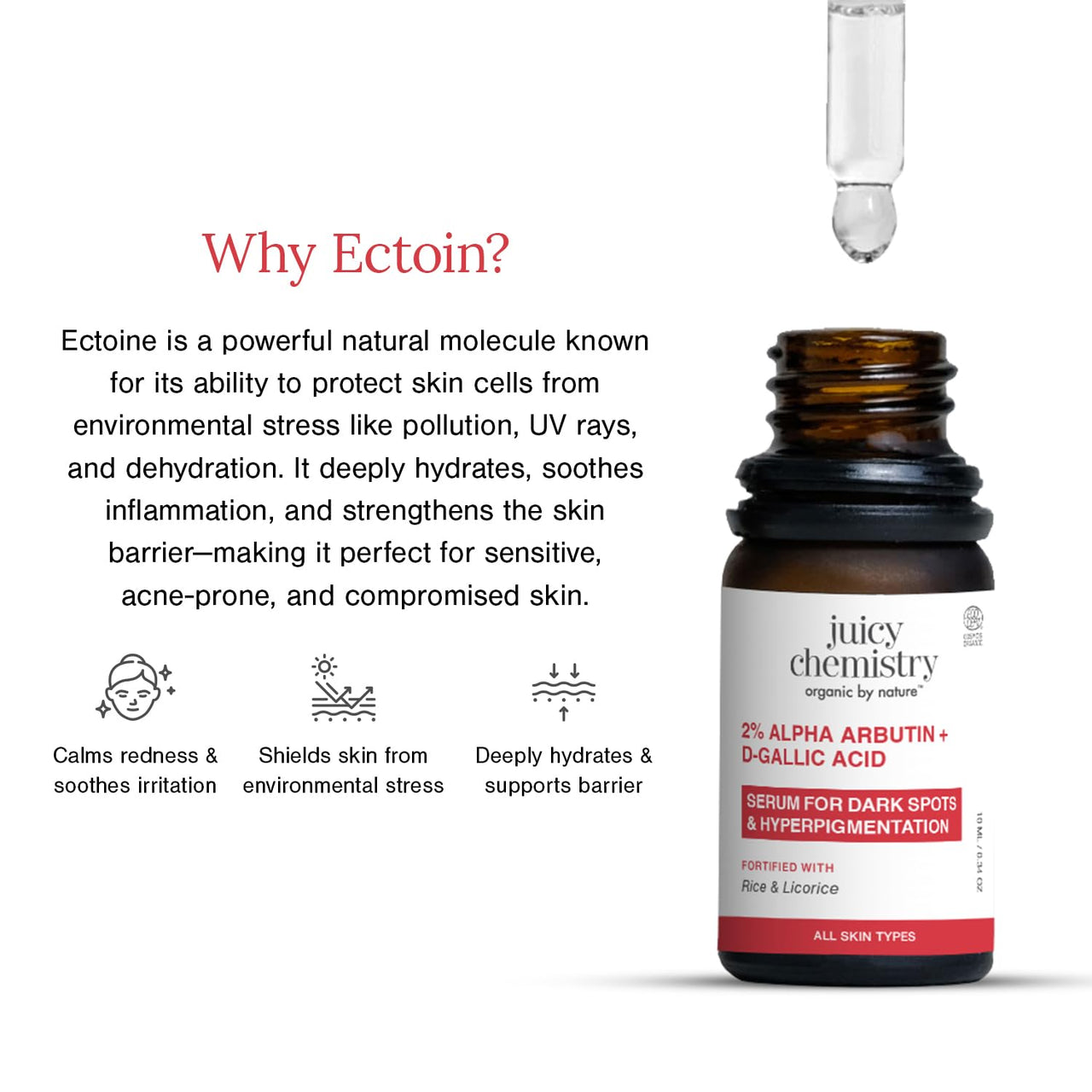 Juicy Chemistry 10% Niacinamide + 2% Ectoin Face Serum, 10 ml | Oil Control, Pore Refining & Skin Barrier Support | Lightweight & Fragrance-Free