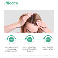 Earth Rhythm Anti-Dandruff Shampoo Bar for Itchy & Flaky Scalp | Men & Women | Contains Arnica Peppermint & Menthol Extracts | Sulphate & Paraben Free - 80gm