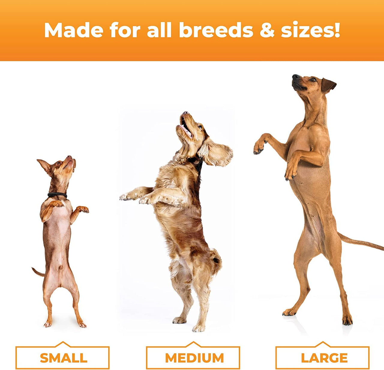 VetriScience Glycoflex 3 Clinically Proven Hip and Joint Supplement for Dogs - Maximum Strength Dog Supplement with Glucosamine, MSM, Green Lipped Mussel & DMG - 60 Chews, Chicken Flavor Glycoflex Stage 3 60 Chews for All Dogs