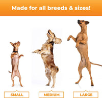 VetriScience Glycoflex 3 Clinically Proven Hip and Joint Supplement for Dogs - Maximum Strength Dog Supplement with Glucosamine, MSM, Green Lipped Mussel & DMG - 60 Chews, Chicken Flavor Glycoflex Stage 3 60 Chews for All Dogs