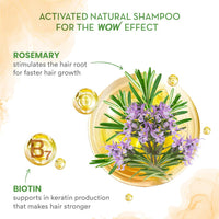 WOW Skin Science Skin Science Rosemary & Biotin Hair Growth Shampoo | Fights Hair Fall | Grows New Hair | Prevents Breakage & Split Ends | Adds Shine To Dull Hair, 250 Gram