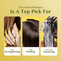 Richfeel with Arnica Shampoo, 500ml