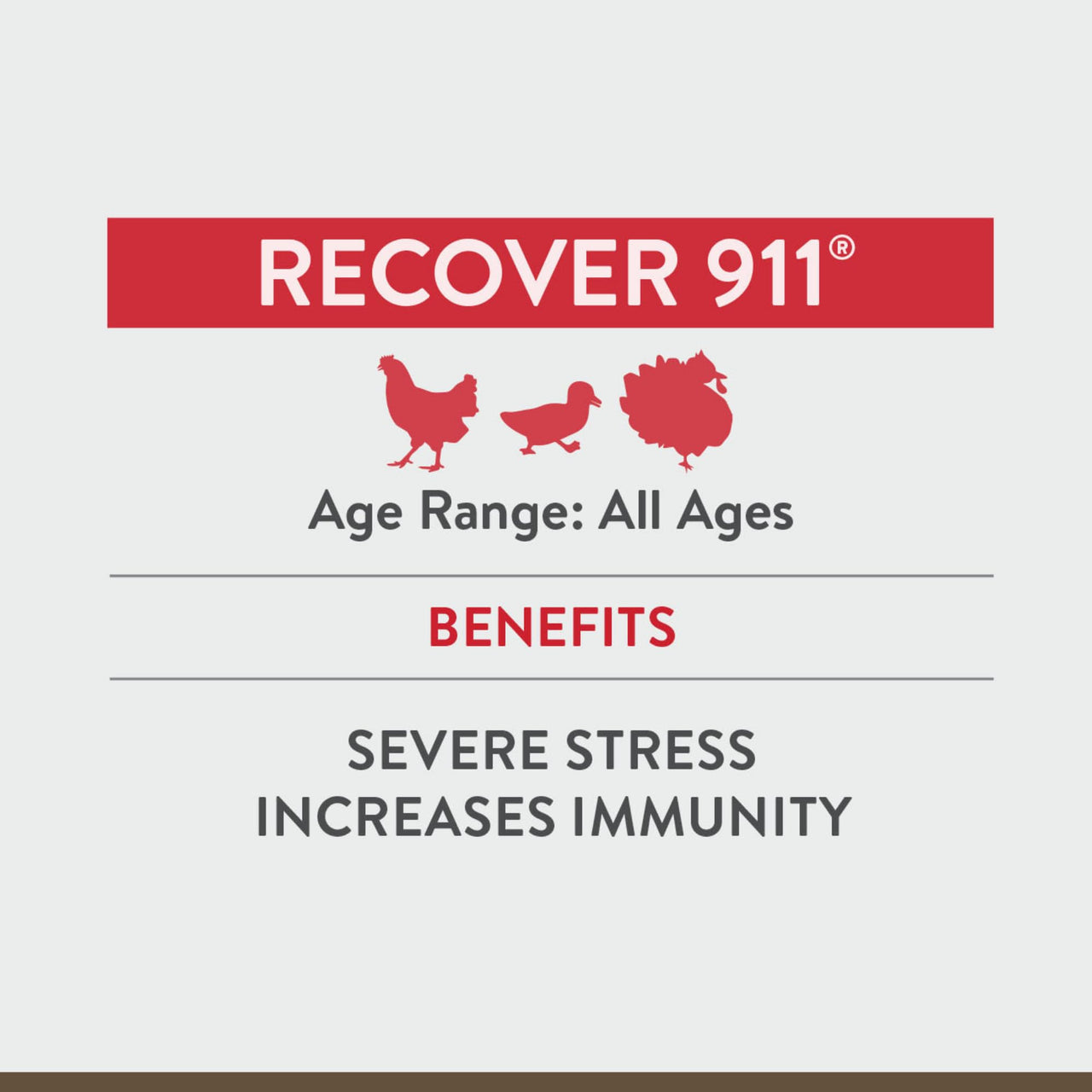 FlockLeader Recover 911, Severe Stress Probiotic Water Supplement for Chickens with Electrolytes, Prebiotics & Oregano, 8 oz