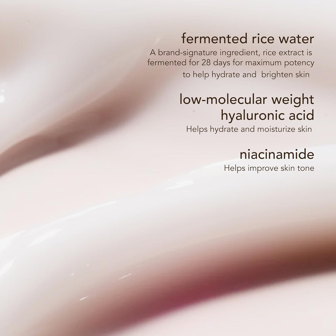 The Face Shop Rice Water Bright Vegan Cream with Ceramide, Niacinamide & Hyaluronic Acid | Brightens Skin, Fades Blemishes & Acne Marks | Korean Skin Care | 50ml
