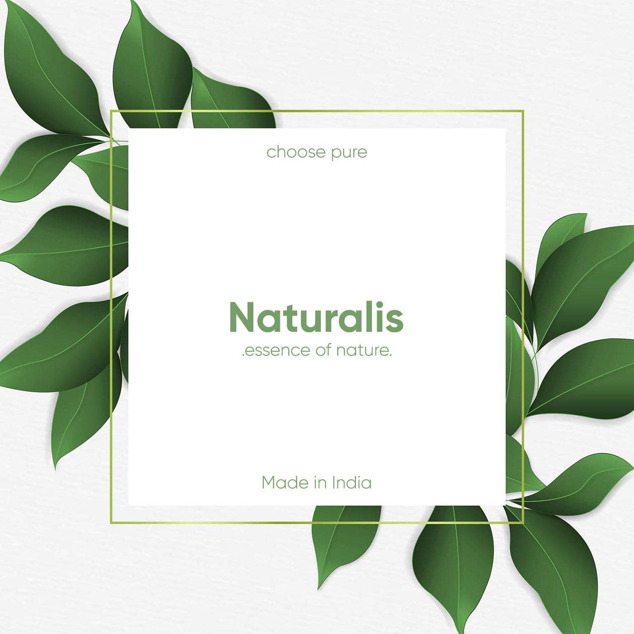 Naturalis Aloevera Gel for Face – Natural Aloe Vera Gel for Hydration, Nourishment, and Hair Care – Aloevera Gel for Skin & Hair that Soothes, 300g