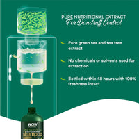 Wow Skin Science Green Tea & Tea Tree Anti-Dandruff Shampoo - No Sulphates, Parabens, Silicones, Color & Peg - 300 Ml