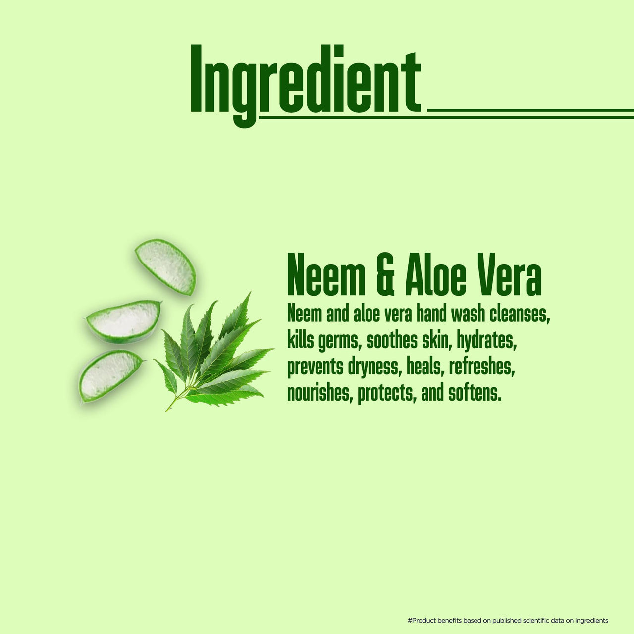 Multani Naturals Neem Aloe Vera Hand Wash 500ml | Gentle Hand Cleanser with Natural Ingredients | 99.9% Germ Protection Liquid Hand Wash