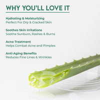 Jovees Herbal 100% Pure Aloe Vera Multipurpose Gel | For Face, Skin & Hair | For Hydrates | Even Skin Tone For Men & Women | 200g (Pack of 2)