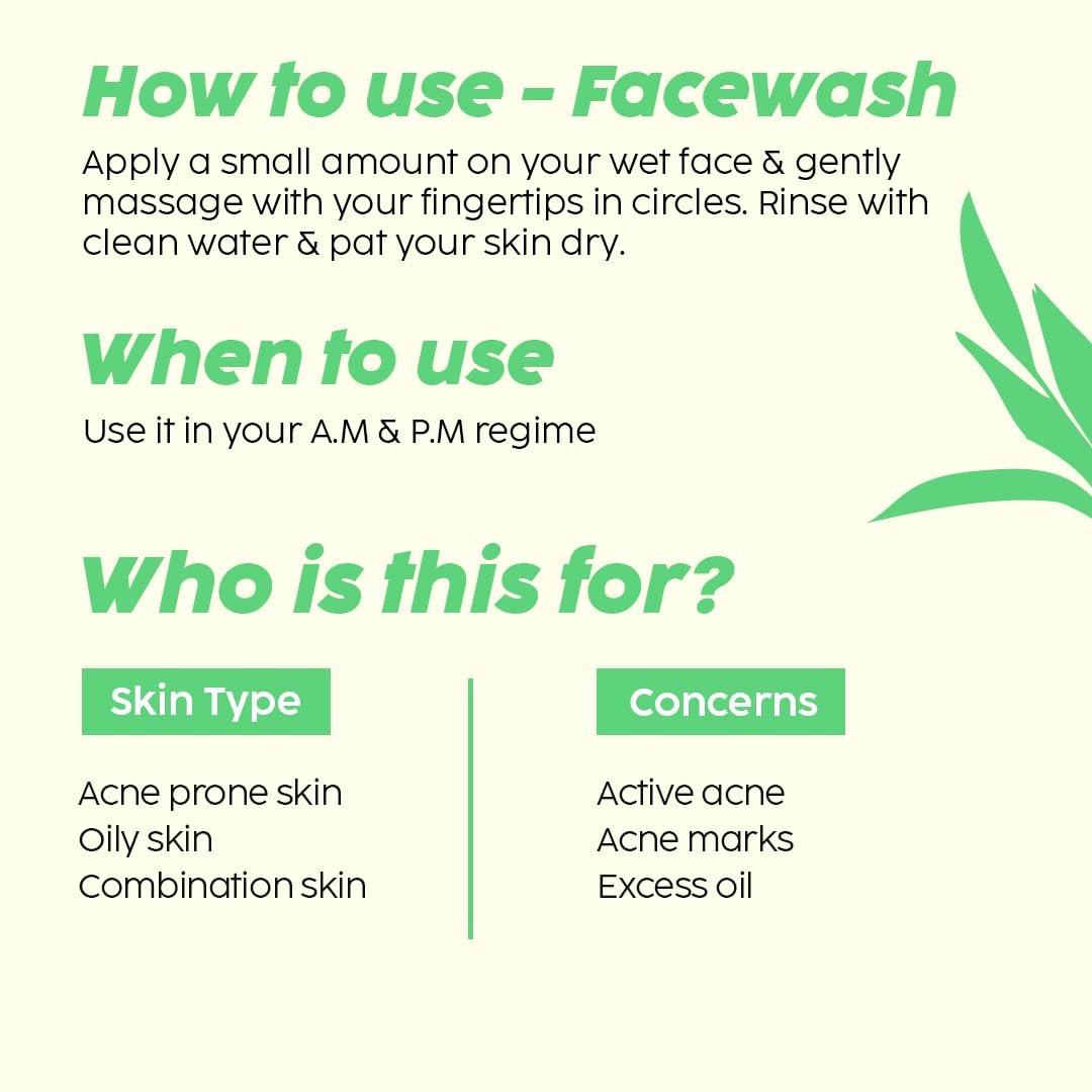 The Plant Fix Plix Jamun Cleanser & 2% Salicylic Acid Serum With Smoothie Moisturizer Combo l Detoxifies The Skin l Reduces Active Acne l Fades Blemishes l All Skin Types
