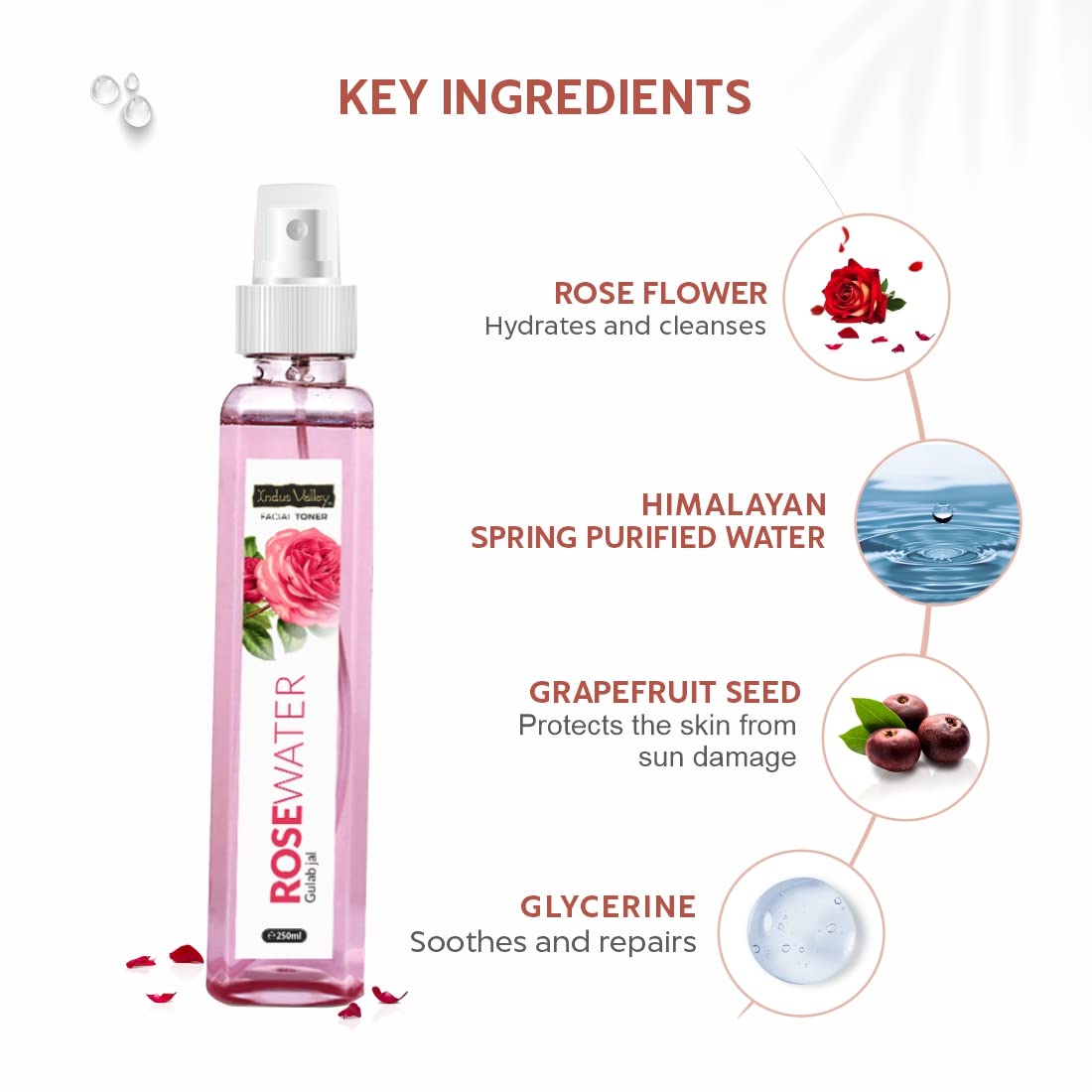 INDUS VALLEY Natural Rose Water/Skin Toner - Organic Gulab Jal- Chemical Free, Pack of 250 ml