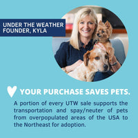Under the Weather Easy to Digest Bland Diet for Sick Dogs - Always Be Ready - Contains Electrolytes - Gluten Free, All Natural, Freeze Dried 100% Human Grade Meats - Hamburger, Rice & Sweet Potato Rice, Hamburger & Sweet Potato 6 Ounce (Pack of 1)