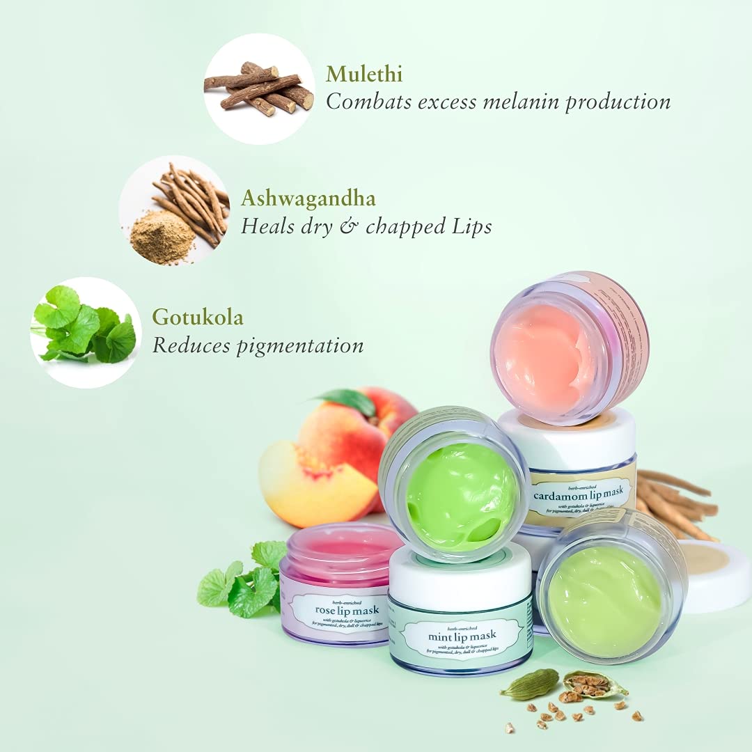 Just Herbs Ayurvedic Mint Lip Mask, Balm For Dark, Dry & Pigmented Lips - Vegan Lip Mask For Men & Women 15gm-Green