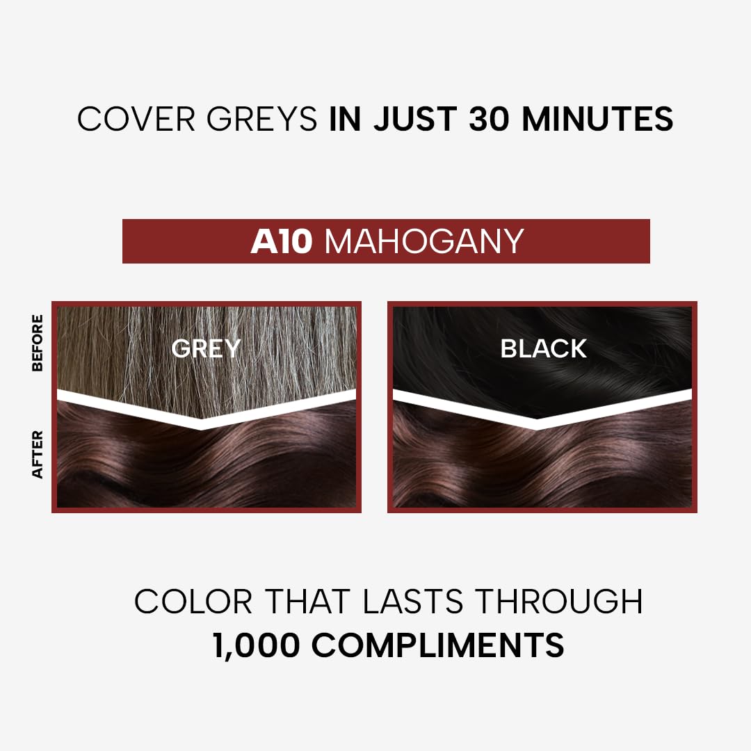 Berina Professional | Permanent Hair Color Cream | 60gm | A10 Mahogany | Long Lasting Color