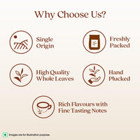 1868 by Tata Tea, Jasmine Green, Munnar Green Tea with Jasmine Oil, Handpicked Whole Leaf, Light, Aromatic, Sweet, From House of TATA (25 cups/50g)