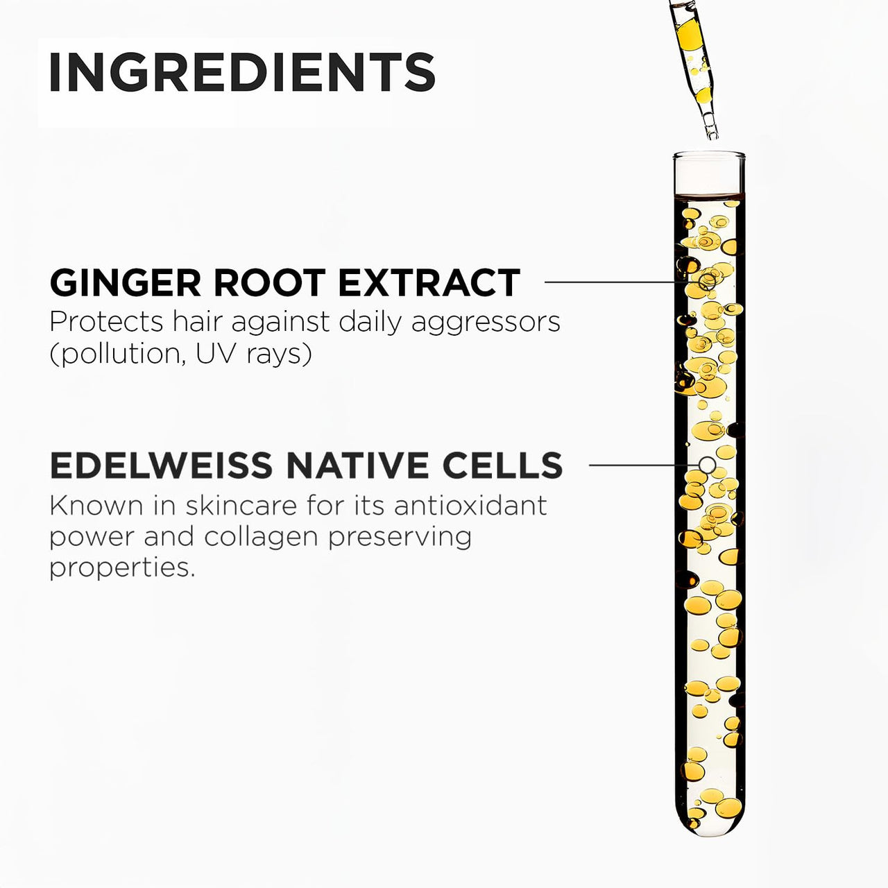 Kérastase Genesis Hydra-Fortifiant Anti Hair Fall Shampoo | For Normal to Oily Weak Hair | Infused with Ginger Root and Edelweiss Native Cells | 250ml