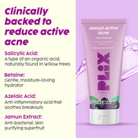 PLIX THE PLANT FIX Jamun Cleanser & 10% Niacinamide Acid Serum With Smoothie Moisturizer Combo l Detoxifies The Skin l Reduces Acne Marks l Fades Blemishes l All Skin Types
