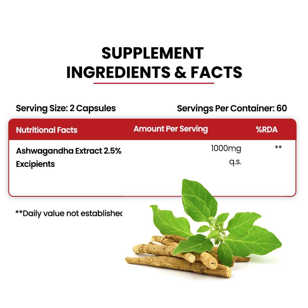 Himalayan Organics Plant Based Ashwagandha || 1000mg Serve || Energy & Endurance || 120 Veg Capsules