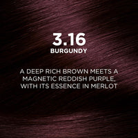 L'Oréal Paris Permanent Hair Colour, Radiant At-Home Hair Colour with up to 100% Grey Coverage, Pro-Keratin, Up to 8 Weeks of Colour, Excellence Crème, 3.16 Burgundy, 72ml+100g (Pack of 2)
