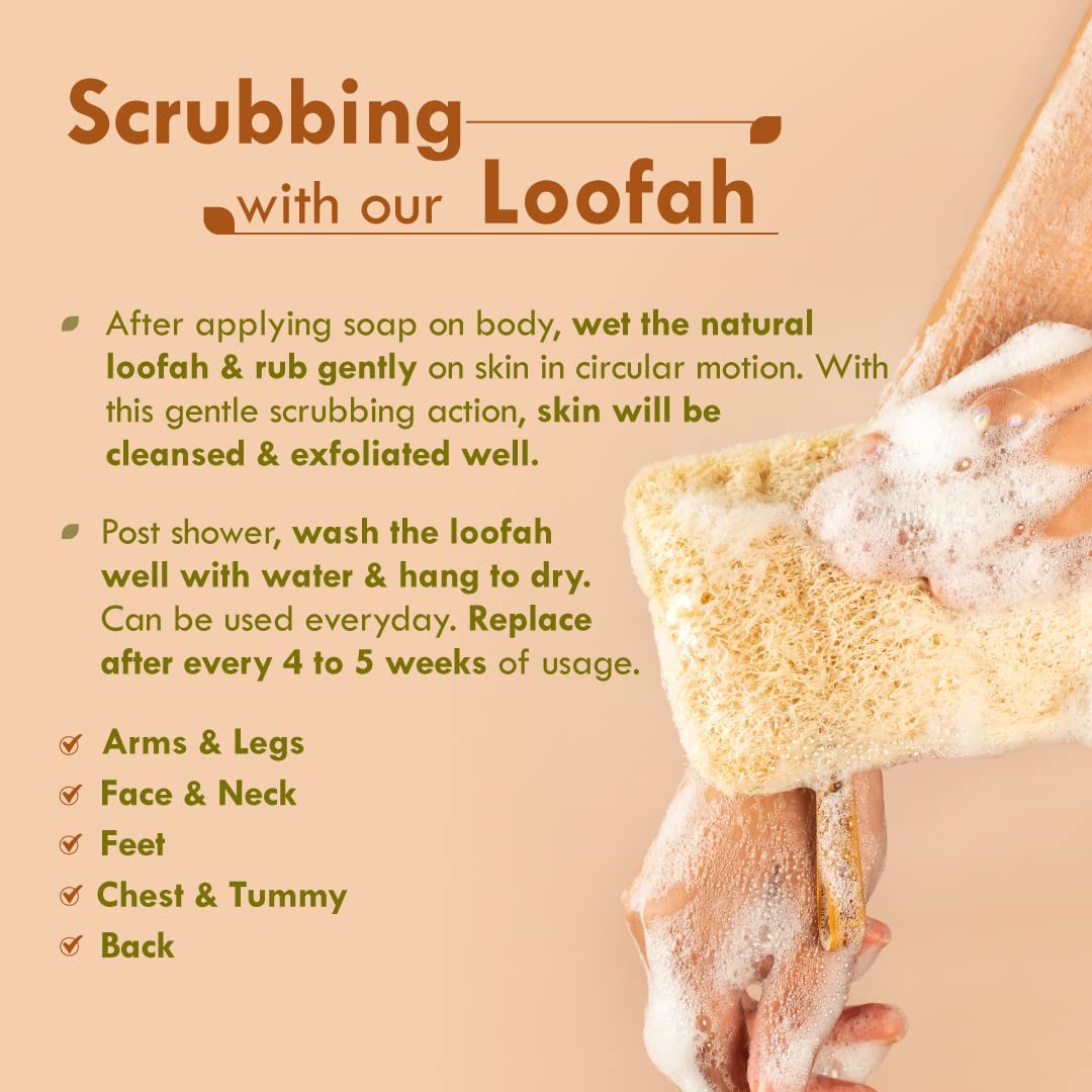 Nat Habit - Back To Natural Secrets Everyday Nat Habit Natural Sun Dried Bath Loofah | Body Sponge & Scrubber for Men & Women | Organic Luffa for Bath Shower Skin Exfoliation (Pack of 2)