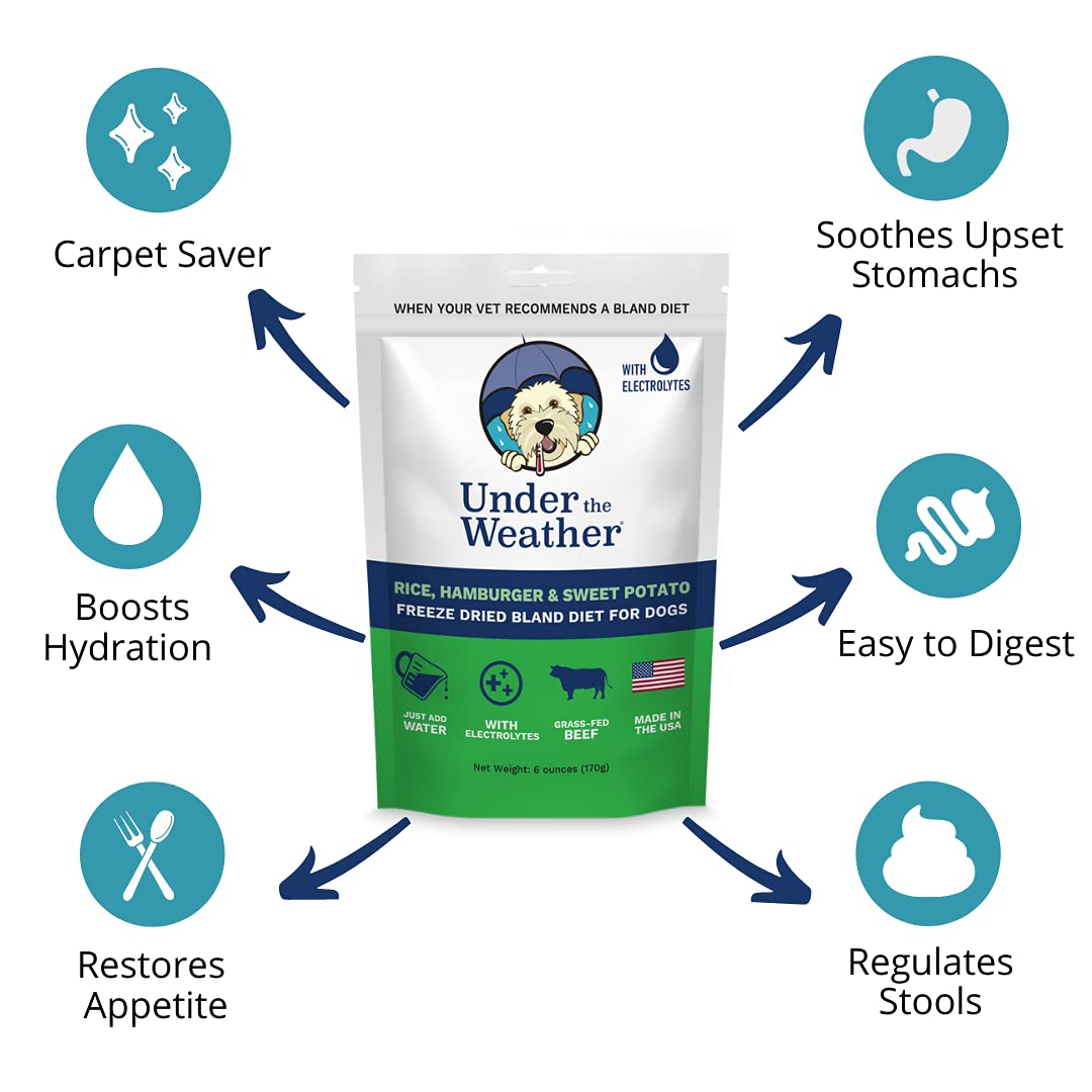 Under the Weather Easy to Digest Bland Diet for Sick Dogs - Always Be Ready - Contains Electrolytes - Gluten Free, All Natural, Freeze Dried 100% Human Grade Meats - Hamburger, Rice & Sweet Potato Rice, Hamburger & Sweet Potato 6 Ounce (Pack of 1)
