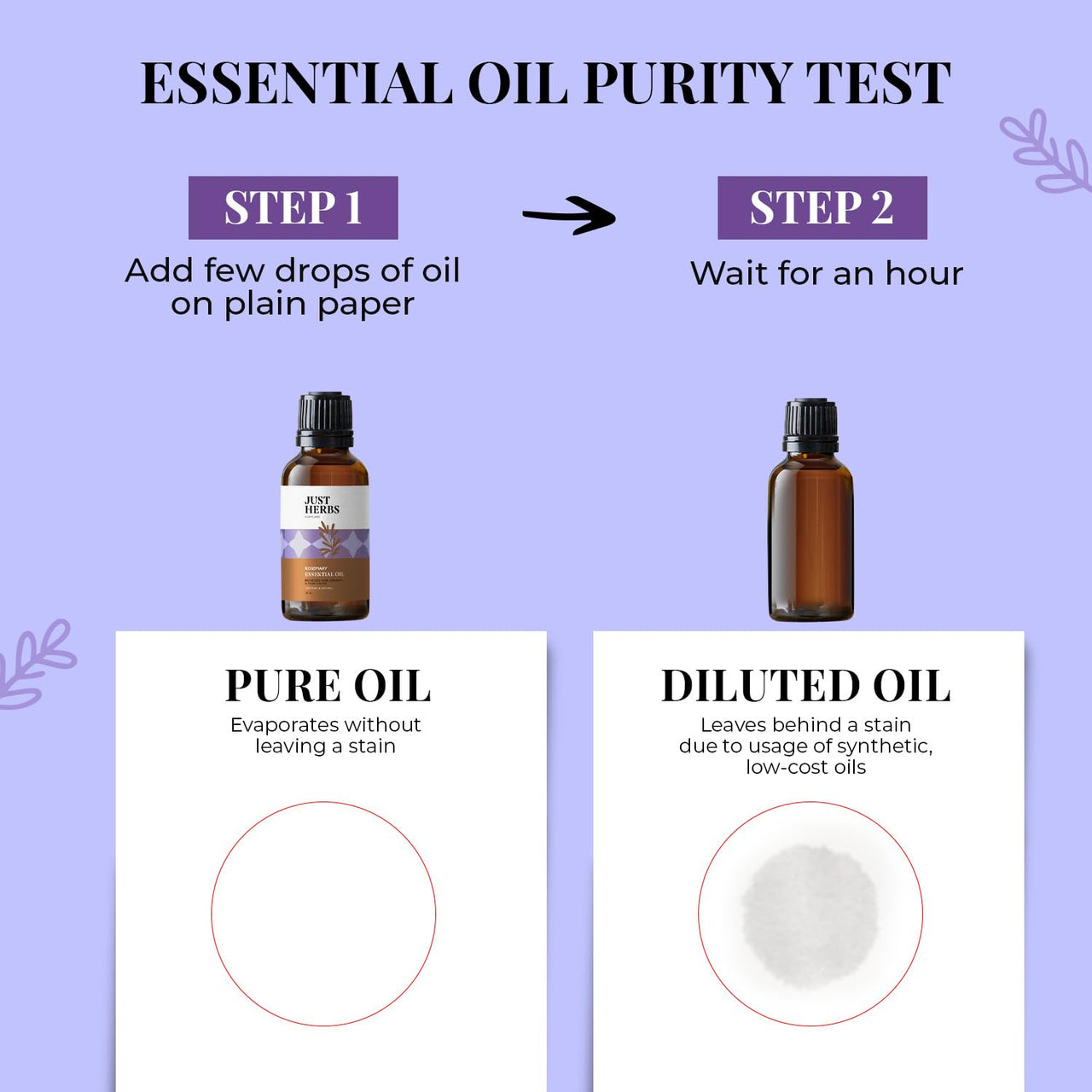 Just Herbs Rosemary Steam 100% Pure Distilled Essential Oil for Hair | Skin | Fights Acne | Elevates Mood Aromatherapy for Men and Women (10 ml)