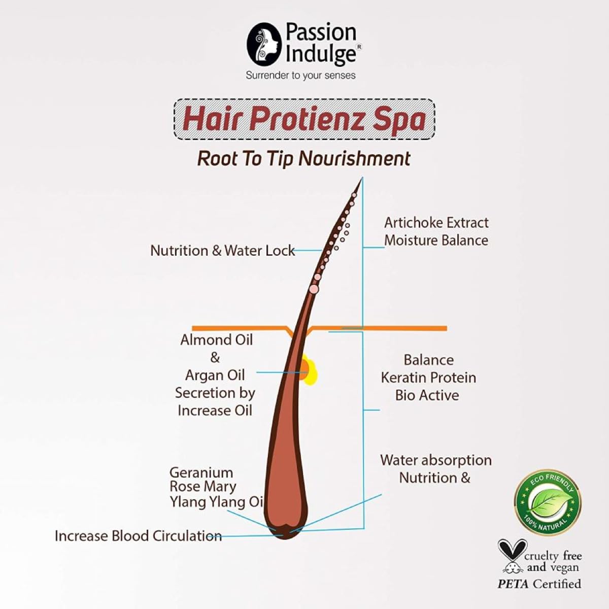 Passion Indulge Onion Hair oil, Rosemary Hair Growth Serum, Hair Spa Protein Booster & Papain Shampoo