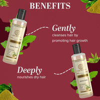Khadi Natural Henna & Tulsi Herbal Shampoo | Gentle Cleanser for Hair Strength | Promotes Shinier Hair | Natural Herbal Formula- Pack of 2 (210 ml x 2)