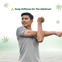 Hampa Hemp Muscle Pain Relief Oil 100ml | Lasting Relief from Back, Shoulder, Neck, Leg, Lumbar, Ortho and other Muscular Pains, Stiffness and Spasms | Ayurvedic with Vijaya Leaf Extract, Arnica, Ashwagandha | 100% Natural and Skin Friendly