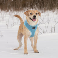 Aerolite No Pull Mesh Dog Harness with Lightweight, Soft, Breathable Chest Coverage, Reflective Stitching, and Adjustable Straps for Walking, Running, Training, Heavy Duty and Durable - Baby Blue, XL
