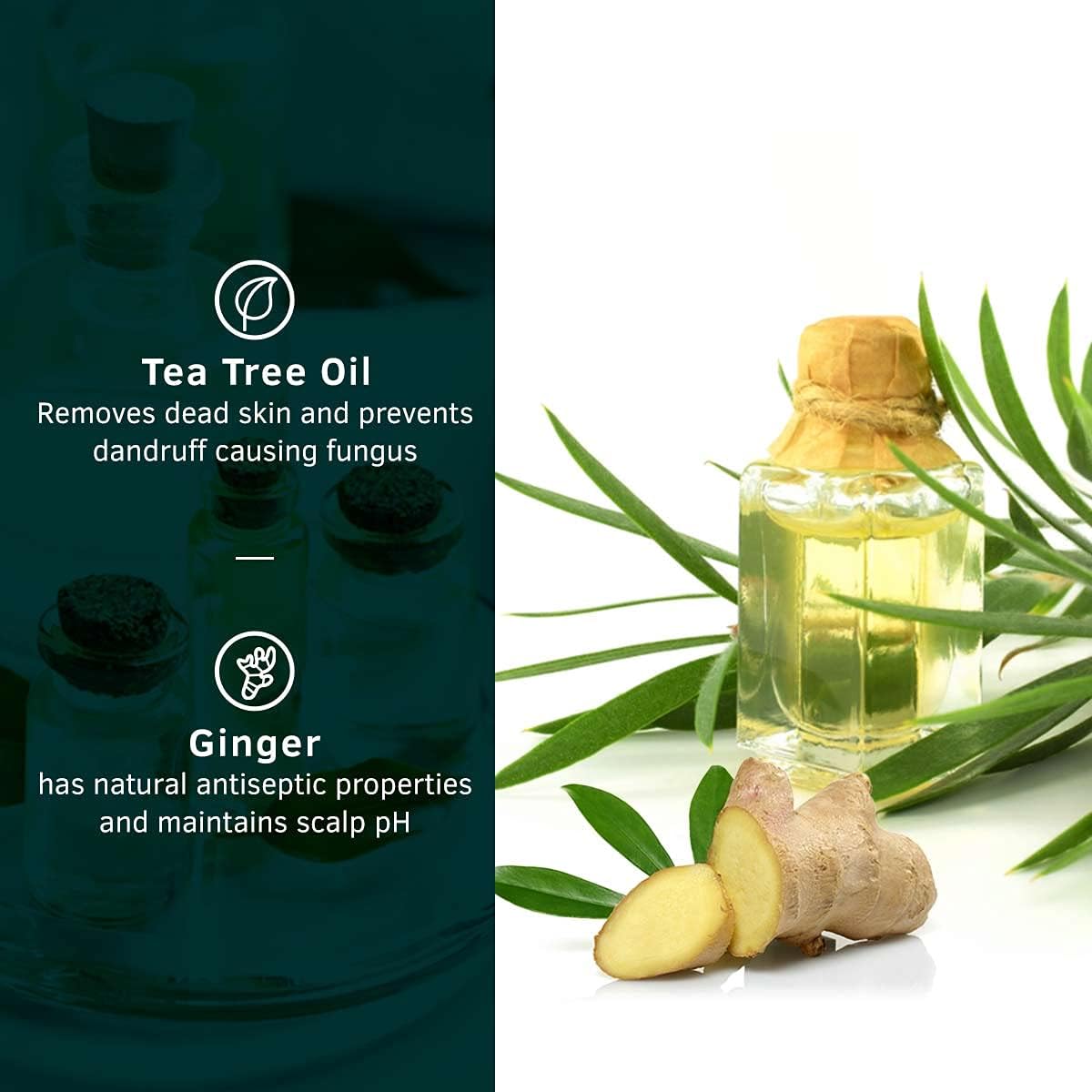 Ustraa Ayurvedic Hair Oil 200ml - with 8 Natural Herb extracts, With Red Onion,Bhringaraj, Amla & Neem | & Anti-Dandruff Shampoo 250ml - With Climbazole, Ginger & Tea Tree Oil, Controls Dandruff