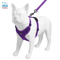 Voyager Step-in Lock Dog Harness w Reflective Dog Leash Combo Set with Neoprene Handle 5ft - Supports Small, Medium and Large Breed Puppies/Cats by Best Pet Supplies - Purple, M Harness Leash Set (Purple) M (Chest: 17 - 21