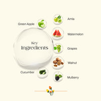 Ashpveda Fruits & Walnuts Radiant Face Scrub for Deep Exfoliation | Helpful for Dead Skin, Smooth and Clear Complexation, Tan Removal, Skin Hydration & Exfoliation (30gm)